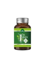 Vitabumin A1 Plus L-Carnitine Lepidium 30 Bitkisel Kapsül