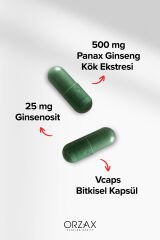 Ocean Panax Ginseng 500 mg 60 Kapsül