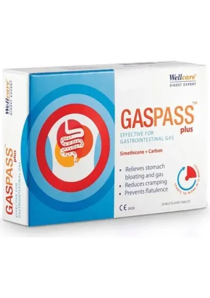 Wellcare Gasspass Plus 20 Tablet
