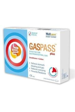 Wellcare Gasspass Plus 20 Tablet