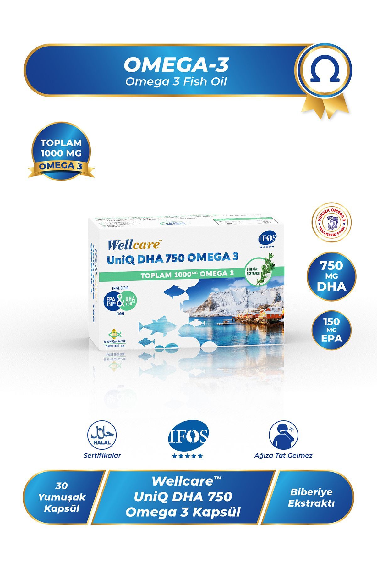 Wellcare Omega 3 Balık Yağı 750 mg 30 Kapsül