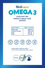 Wellcare Omega 3 Balık Yağı 750 mg 30 Kapsül