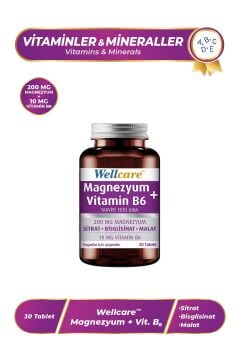 Wellcare Magnezyum + Vitamin B6 - 30 Tablet