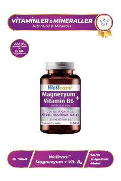 Wellcare Magnezyum + Vitamin B6 - 30 Tablet