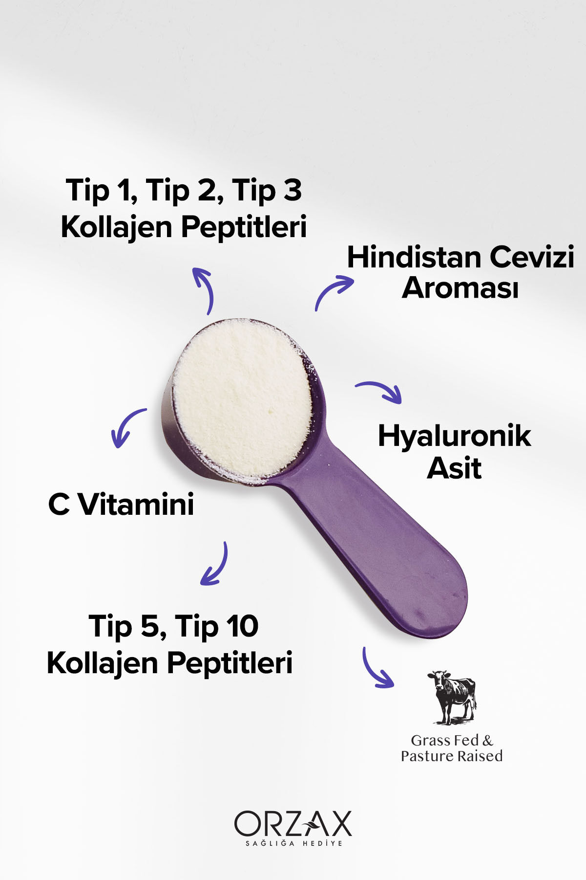The Collagen MultiBalance Tip 1/ Tip 2/ Tip 3/ Tip 5/ Tip 10 Kolajen Toz Form 540 gr